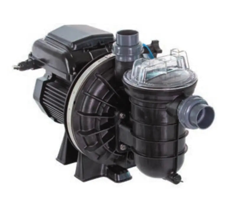 Pompe à vitesse variable Pentair La StaRite VS (1,5 CV) Pentair