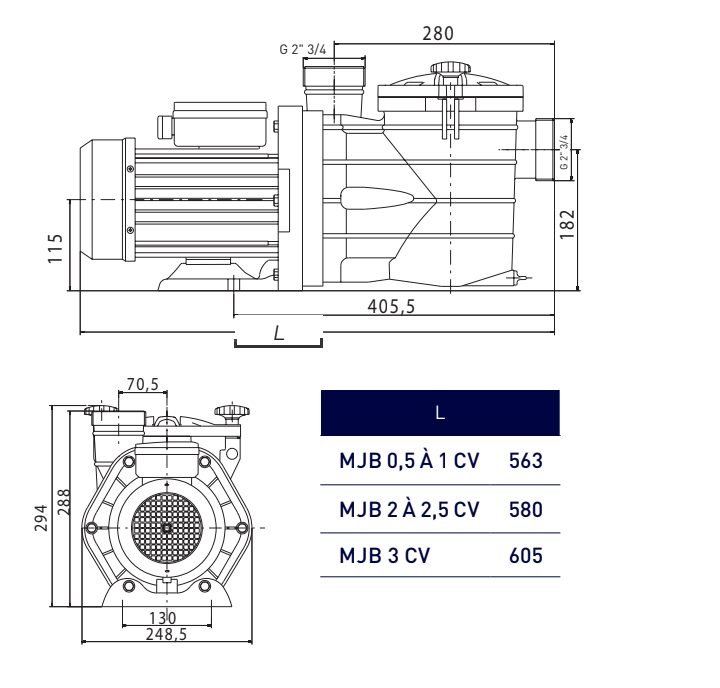 Pompe de filtration MJB Vipool monophasée avec couvercle transparent et préfiltre grande capacité