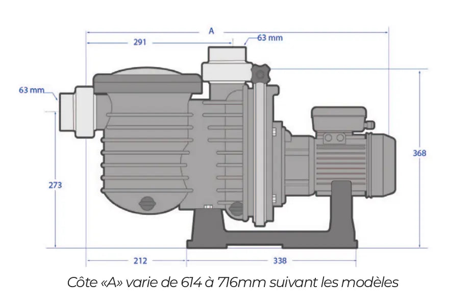 Pompe monovitesse pentair La Sta-Rite HD Pentair