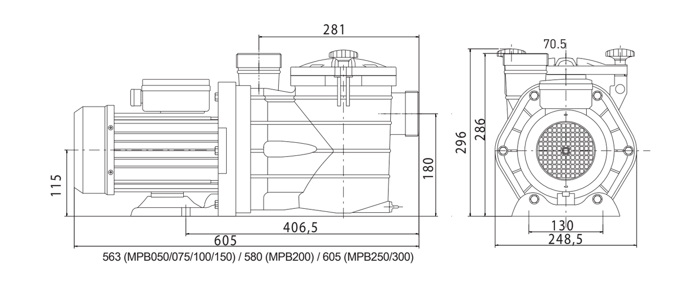 Pompe de filtration Vipool MPB avec pré-filtre orientable